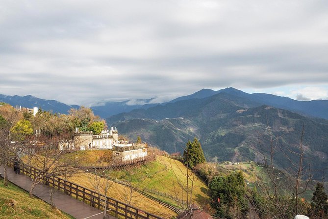1D Tour to Cingjing Farm from Taichung - Cingjing Farm, sheep and a family-friendly hour and a half