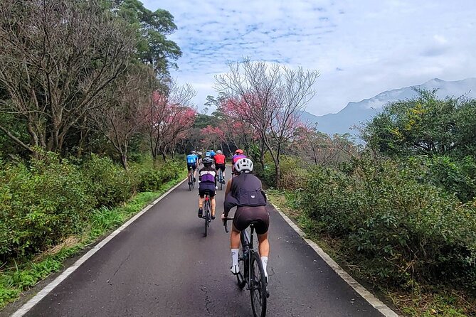 4 Hour Cycling in Taipei - Tea plantations mark the start of the climb