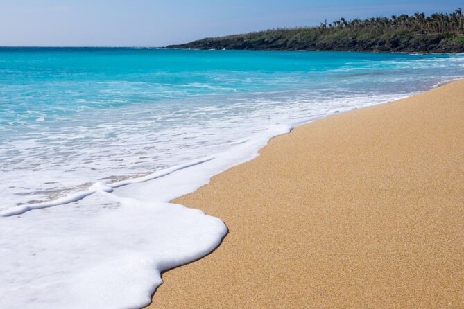 5-day Taiwan Classic Southern Island Fun Private Tour - The Guide Can Shape The Whole Experience