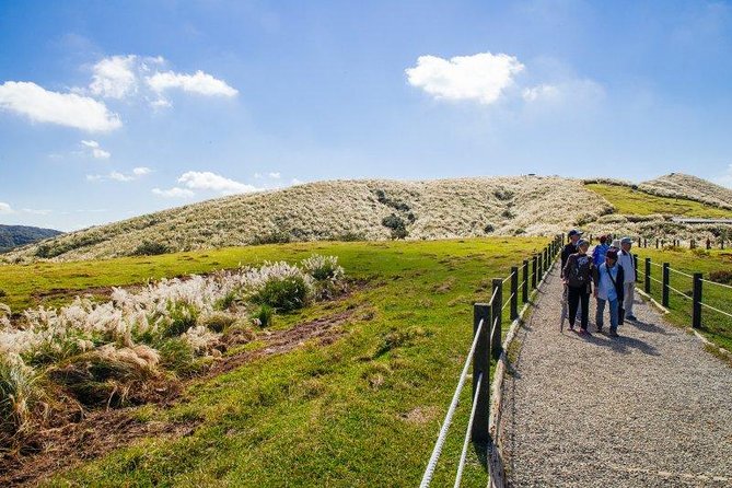5-Hour Vegetarian Private Tour - Visit Yangmingshan and Taste Veggie Cuisine - Three hours among steam, slopes, and volcanic rock