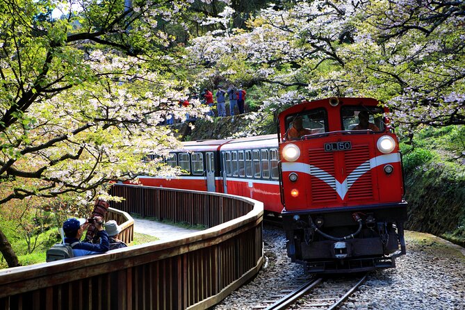 8 Day Private Tour Around Taiwan - Yuyupas and Alishan bring culture into the mountain route