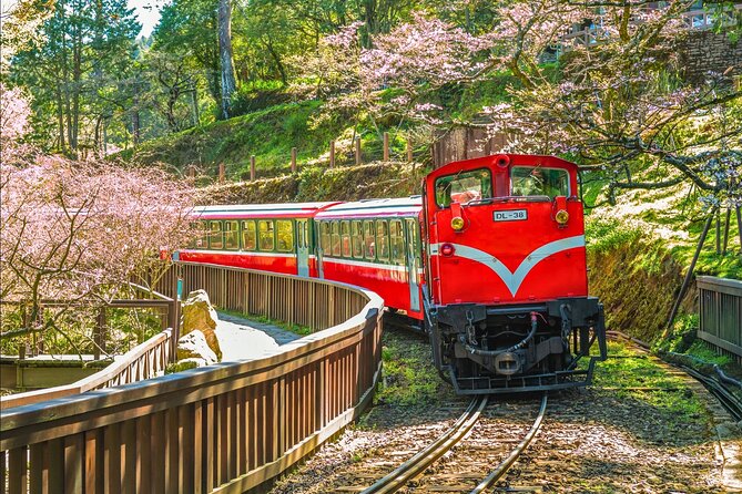 Alishan 2Day Shared Tour from Taipei - From Taipei to the Tsou homeland