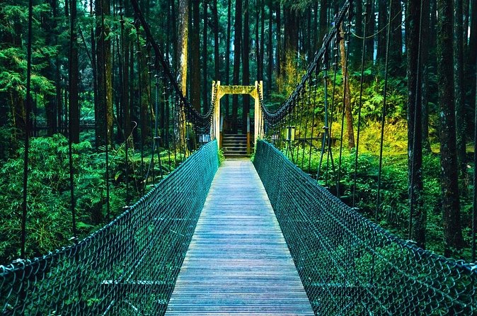 Alishan 2Day Shared Tour from Taipei - Group size, guide service, and comfort