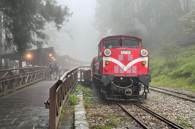 Alishan Day Tour from Chiayi (Incl. Park Entrance) - Sights you may cover inside the recreation area