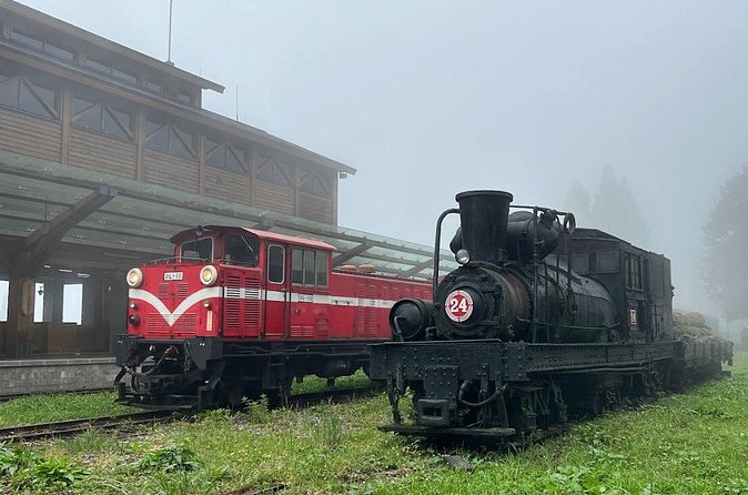 Alishan Day Tour from Chiayi (Incl. Park Entrance) - A guide can shape the whole experience