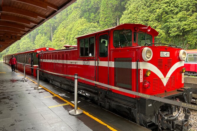 Alishan Day Tour from Chiayi (Incl. Park Entrance) - Timing and the return to Chiayi