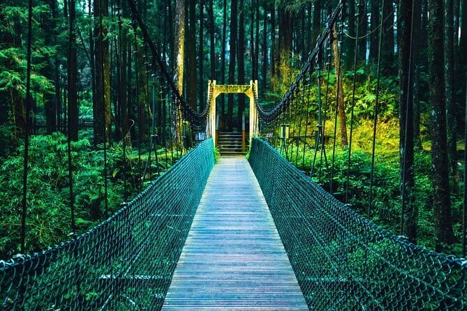 Alishan Join In Day Tour from Taichung (Incl. Park Entrance) - Why Alishan deserves a full day from Taichung