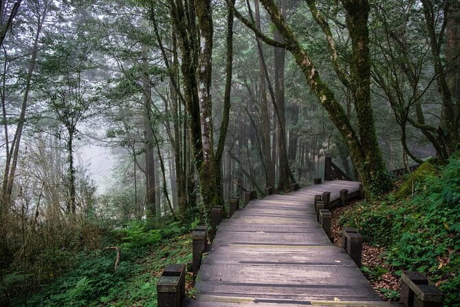 Alishan Join In Day Tour from Taichung (Incl. Park Entrance) - Meeting at Taichung High Speed Rail Station