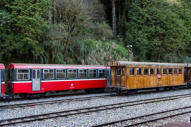 Alishan Join In Day Tour from Taichung (Incl. Park Entrance) - Four hours among Alishan’s ancient trees