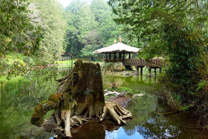 Alishan Join In Day Tour from Taichung (Incl. Park Entrance) - The first pause at Chukou Visitor Center