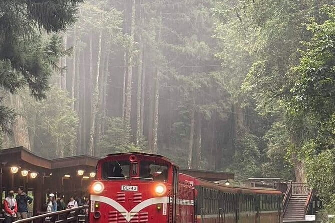 Alishan One Day Tour from Taichung - What an $80 Alishan day trip really gives you