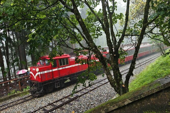 Alishan One Day Tour from Taichung - Longyin Temple brings a calm first stop