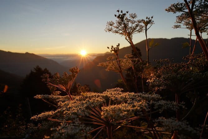 Alishan One Day Tour from Taichung - Three hours and twenty minutes in Alishan