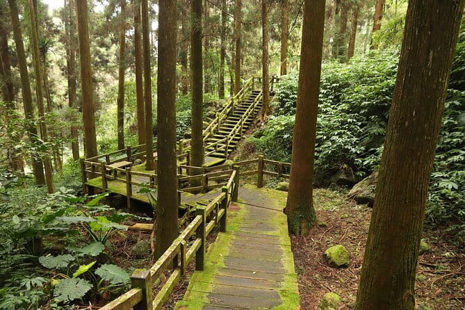 Alishan Private Day Tour from Taichung - The 8:00 am pickup and the road to the mountains