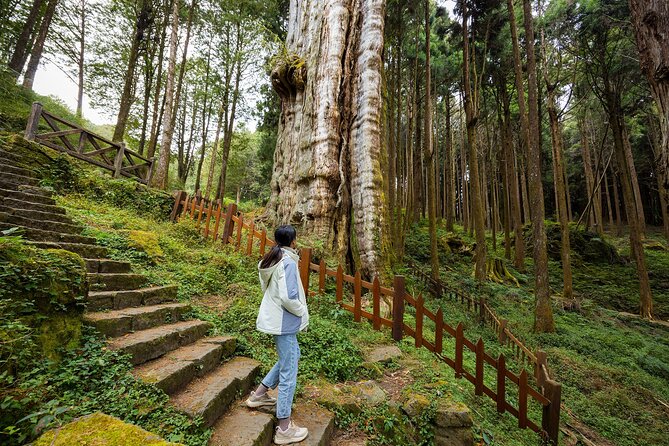 Alishan Taiwan 2 Day Private Tour from Taipei - Day 1: entering the Alishan forest