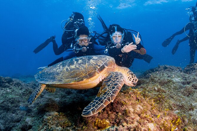 Discover Scuba Diving With Sea Turtles – Xiaoliuqiu, Taiwan - Underwater photos are included, with one useful tip