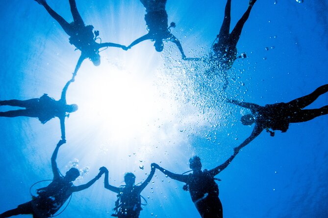 Discover Scuba Diving With Sea Turtles – Xiaoliuqiu, Taiwan - Conditions, health rules, and what to bring