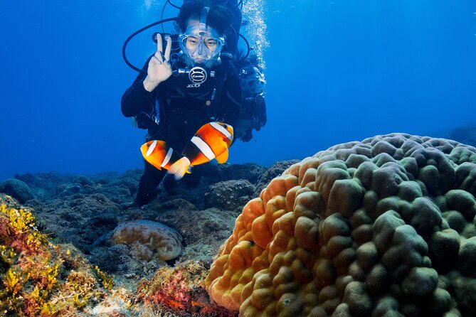 Discover Scuba Diving With Sea Turtles – Xiaoliuqiu, Taiwan - The personal instruction is the biggest advantage