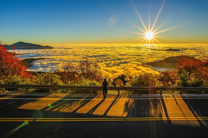 Exclusive 3-Day Sun Moon Lake & Alishan Private Tour - Key points to know before booking