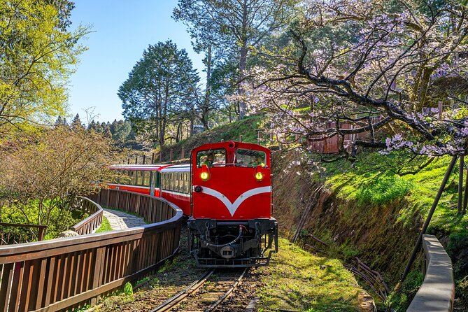 Exclusive 3-Day Sun Moon Lake & Alishan Private Tour - Leaving Taipei for Sun Moon Lake