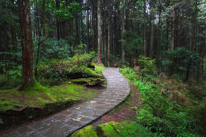 Exclusive 3-Day Sun Moon Lake & Alishan Private Tour - Riding the Alishan Forest Railway from Chiayi