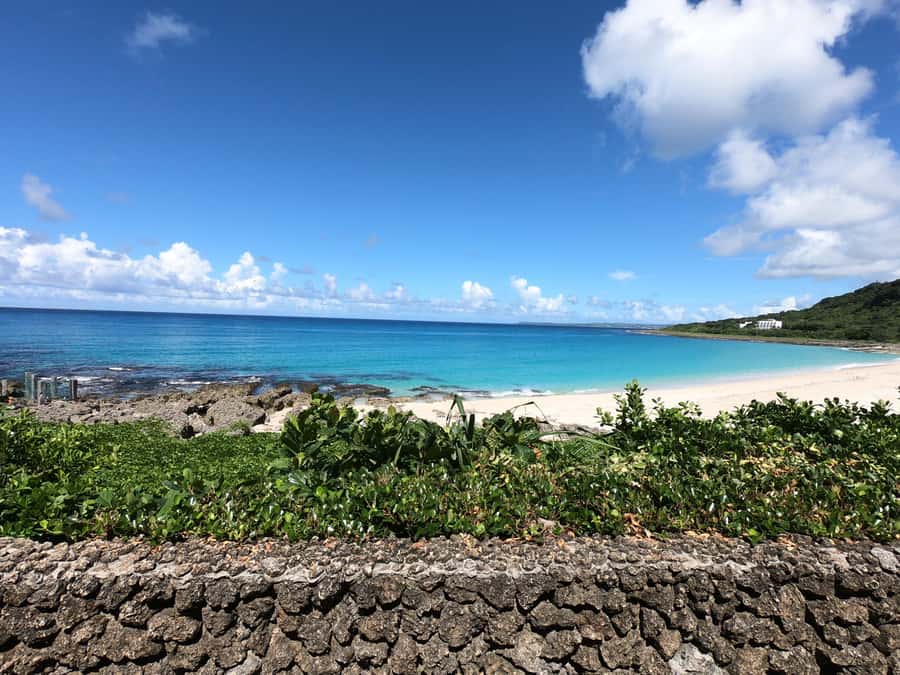 From Kaohsiung: Kenting & Ocean Coast Private Day Tour - Why a private Kaohsiung to Kenting day matters