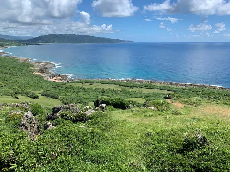 From Kaohsiung: Kenting & Ocean Coast Private Day Tour - The National Museum of Marine Biology: a useful first stop