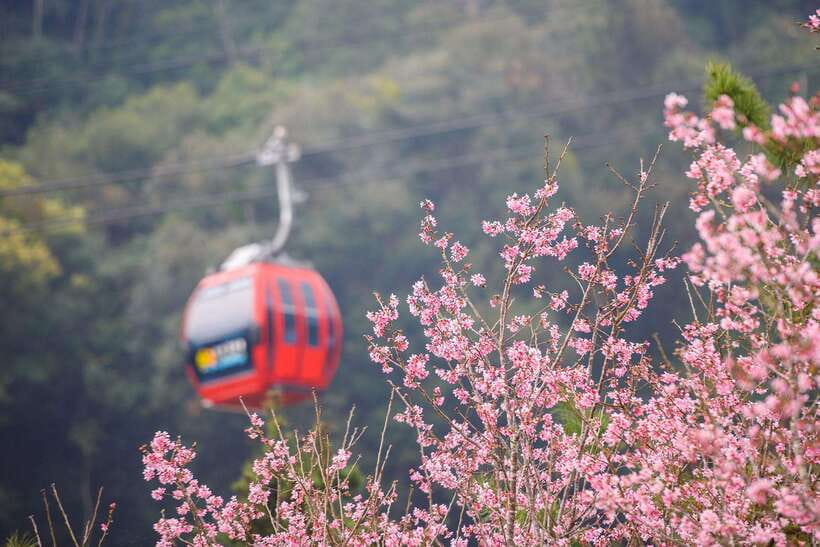 From Taipei: 1 Day Sun Moon Lake Private Tour - Who Will Get the Most From This Day