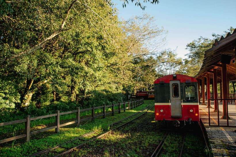 From Taipei City: 3-Day Sun Moon Lake & Alishan Private Tour - FAQ