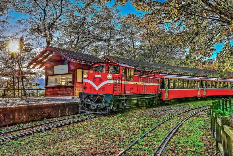 From Taipei City: 3-Day Sun Moon Lake & Alishan Private Tour - Day 2: From the lake to Alishan’s forest railway