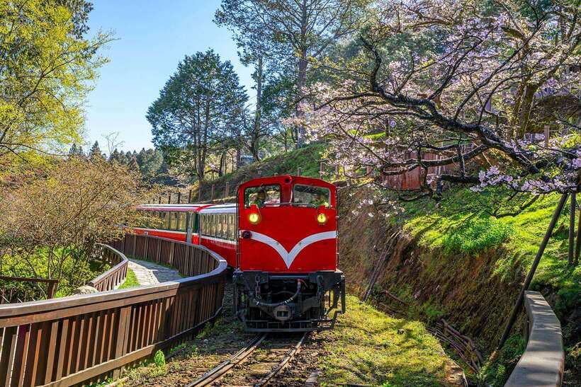 From Taipei City: 3-Day Sun Moon Lake & Alishan Private Tour - Who should book this three-day trip?
