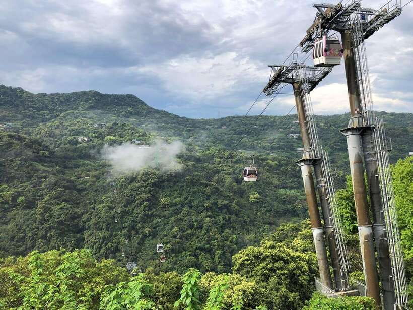 From Taipei: Pinglin Tea Culture and Maokong Guided Day Tour - Five details that shape the day