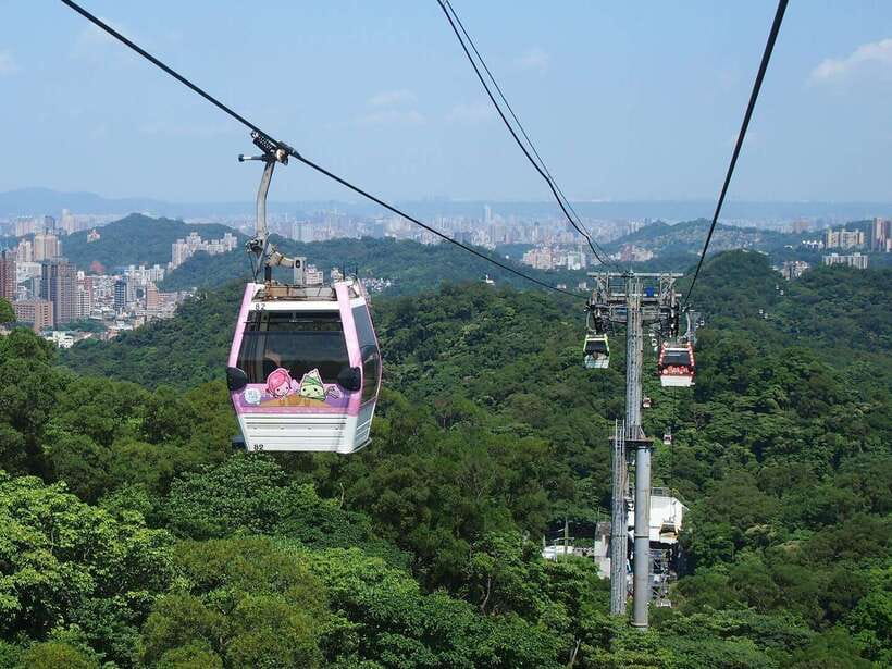 From Taipei: Pinglin Tea Culture and Maokong Guided Day Tour - Tea exhibits at the Taipei Tea Promotion Center