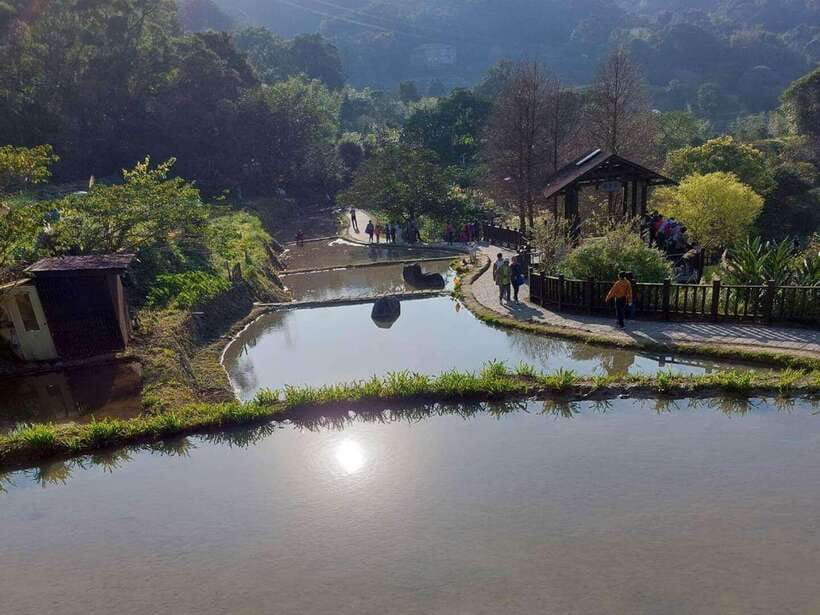 From Taipei: Pinglin Tea Culture and Maokong Guided Day Tour - Thousand Island Lake and the Bagua Tea Plantation
