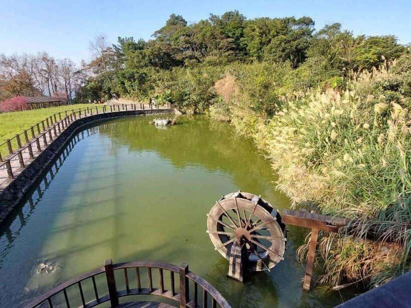 From Taipei: Pinglin Tea Culture and Maokong Guided Day Tour - Pinglin Tea Museum and the story behind Taiwanese tea