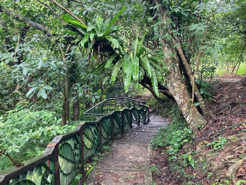 From Taipei: Pinglin Tea Culture and Maokong Guided Day Tour - The Pinglin tea tasting is the real centerpiece