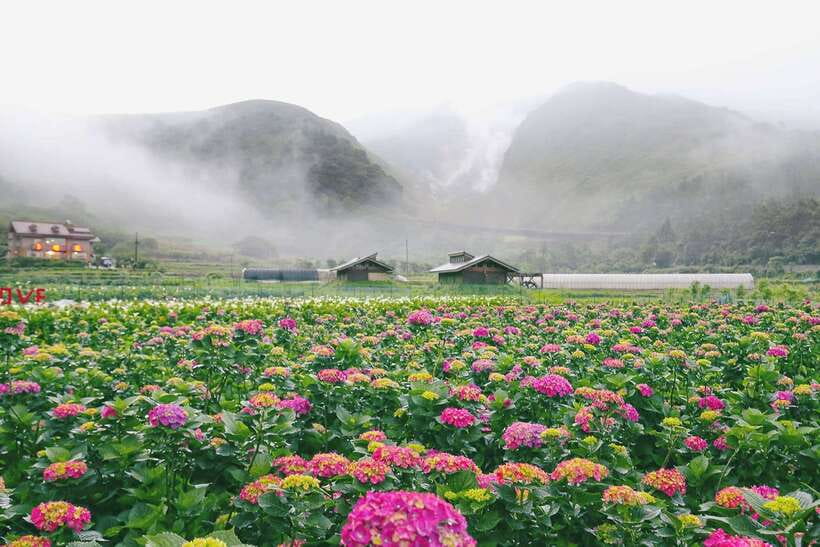 From Taipei: Private Yangmingshan Volcano and Nature Tour - Why Yangmingshan makes a good Taipei escape
