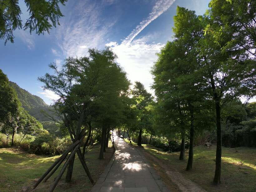 From Taipei: Private Yangmingshan Volcano and Nature Tour - The 25-minute walk to Qingtiangang Grassland