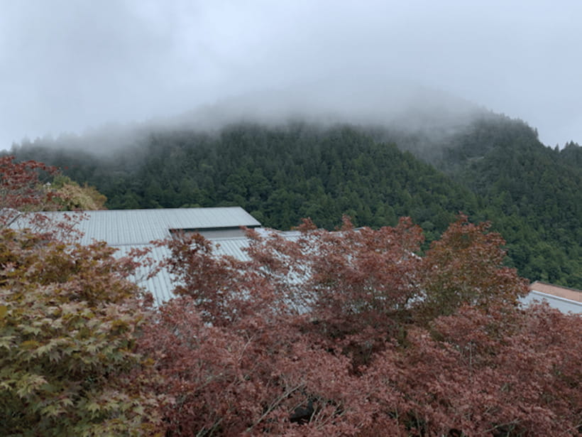 From Taipei: Taipingshan & Jiuzhize Hot Spring Private Tour - Key points to know before you book