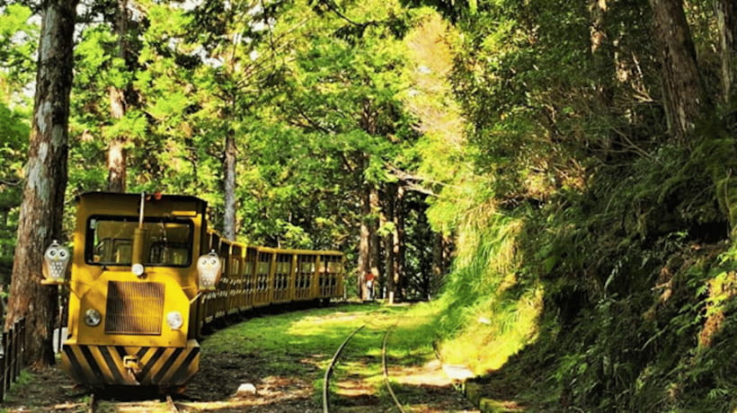 From Taipei: Taipingshan National Forest Private Day Tour - Key points to know before booking