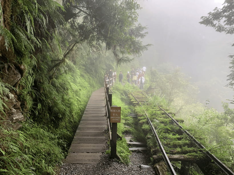 From Taipei: Taipingshan National Forest Private Day Tour - Why Taipingshan is worth the long day