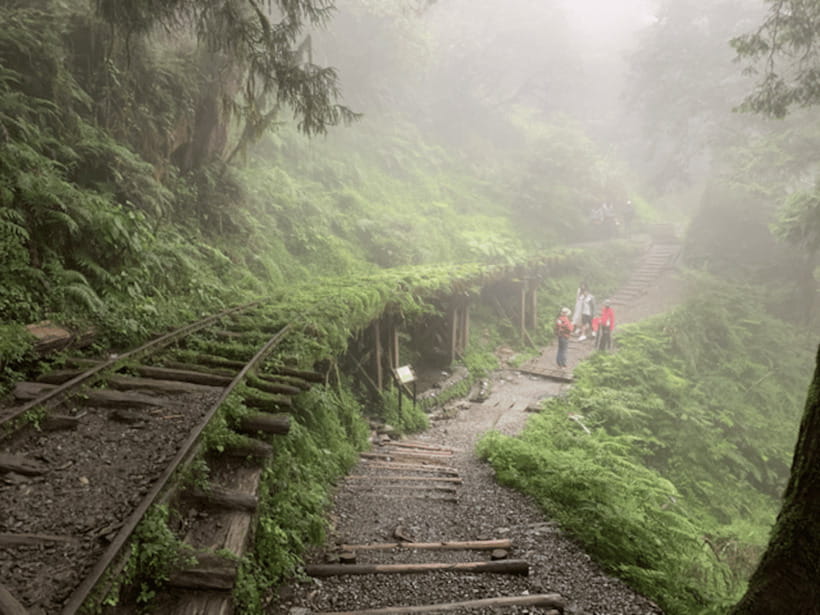 From Taipei: Taipingshan National Forest Private Day Tour - Taipingshan National Forest Recreation Area