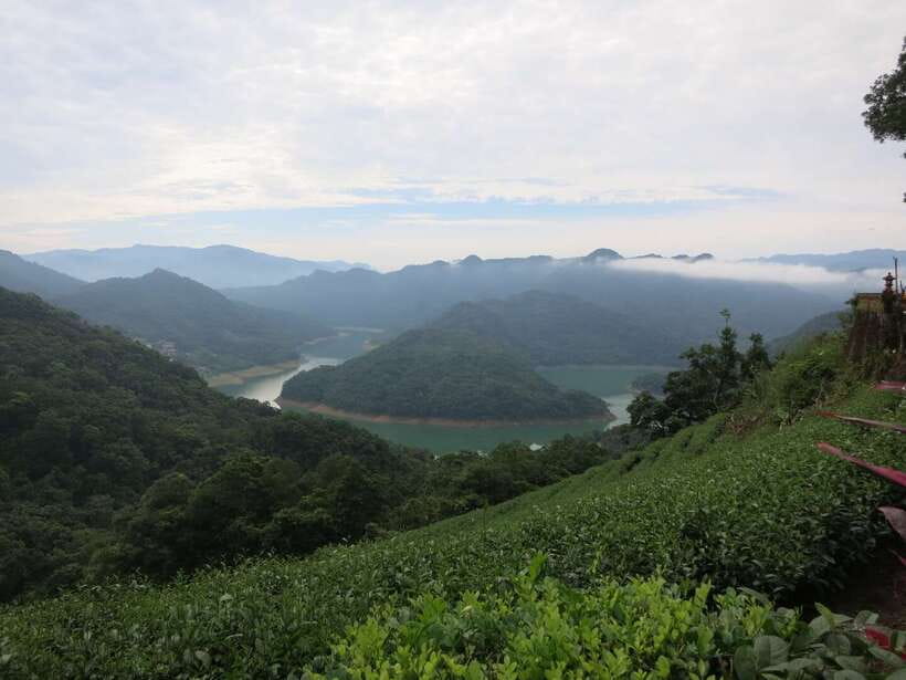 From Taipei: Thousand Island Lake and Pinglin Tea Plantation - Pinglin Tea Plantation and the long central visit