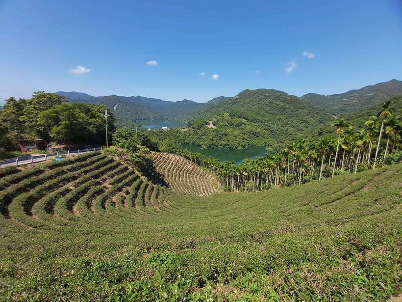 From Taipei: Thousand Island Lake and Pinglin Tea Plantation - Guide quality, vehicle comfort, and pacing