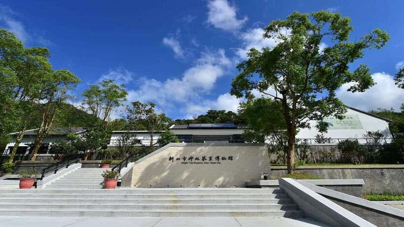 From Taipei: Thousand-Island Lake & Tea Museum Private Tour - Tasting Taiwanese tea with Ben or Alex