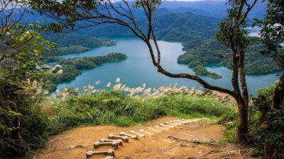 Thousand-Island Lake & Tea Museum Private Tour