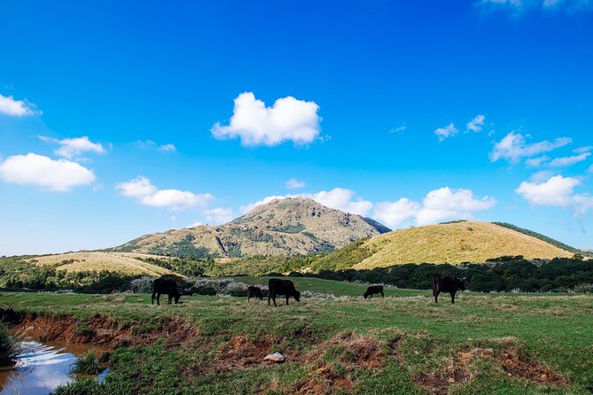 Full-day Tour in Yangmingshan & Beitou from Taipei (Small Group) - Yangmingshan National Park and the mountain setting