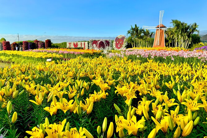 Gaomei Wetlands, Rainbow Village, Miyahara & Zhongshe from Taipei - Chun Shui Tang connects Taichung with bubble tea