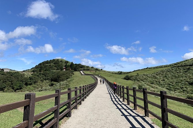 Half Day Private Tour to Yangmingshan National Park and Yehliu Geopark - What the private guide adds