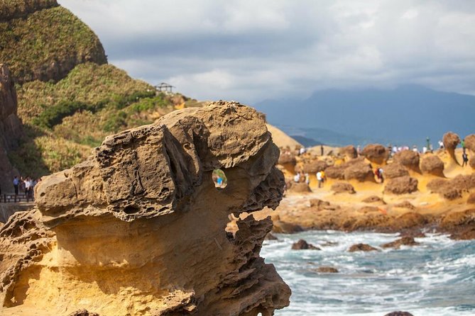 Half Day Private Tour to Yangmingshan National Park and Yehliu Geopark - Yangmingshan National Park: a cooler turn into the hills